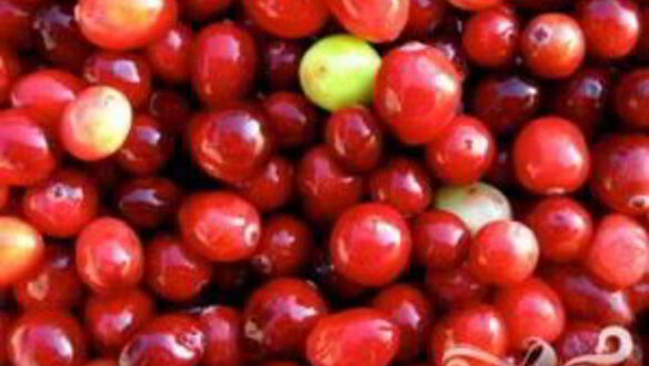 ШАГ 3. витаминный напиток великолепная клюква