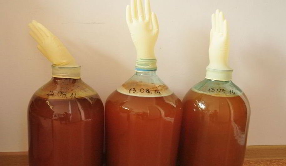 Рецепт яблочное вино