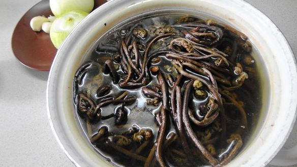 ШАГ 2. салат из папоротника