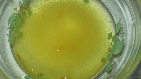 ШАГ 4. салат из помидор с мятой