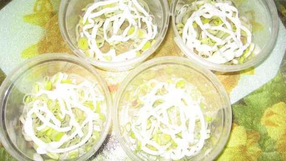 ШАГ 14. салат сельдь под шубой