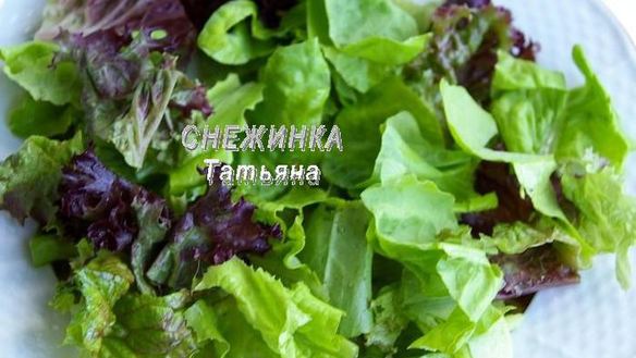 ШАГ 4. салат с авокадо, курицей, сельдереем и грейпфрутом