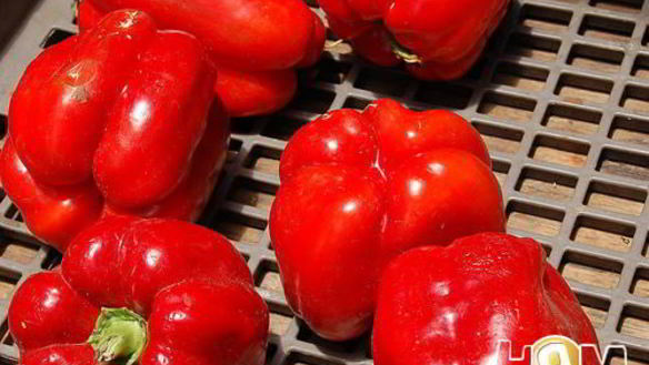 ШАГ 3. салат с креветками и авокадо