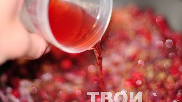 ШАГ 4. клюквенный соус с красным луком