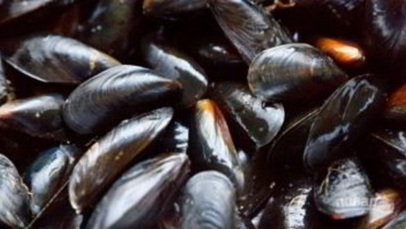 ШАГ 3. соус к мидиям