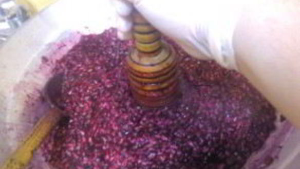 ШАГ 2. соус наршараб