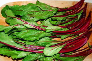 Ботвинья — борщ из листьев молодой свеклы