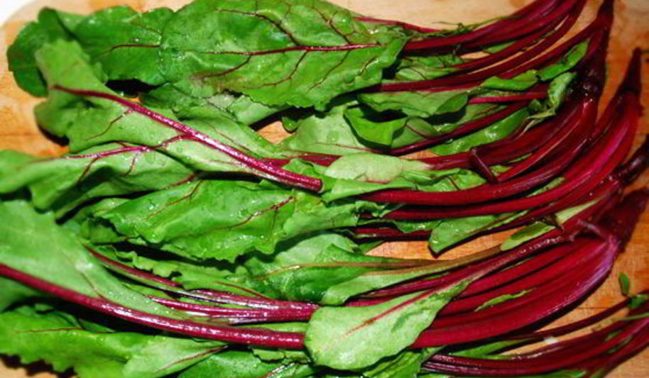 Рецепт ботвинья — борщ из листьев молодой свеклы