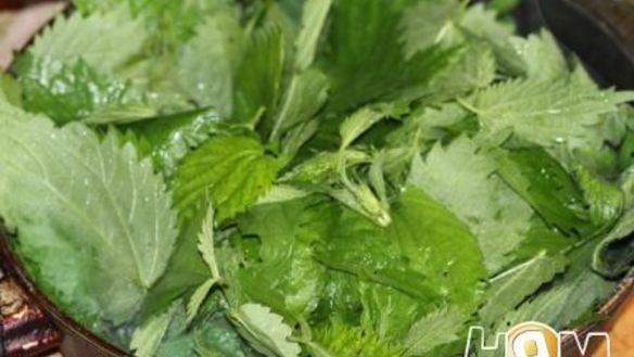 ШАГ 9. крем суп из крапивы с брынзой и одуванчиками