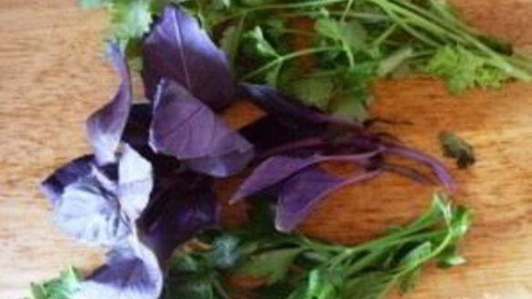 ШАГ 10. мясной суп с курагой