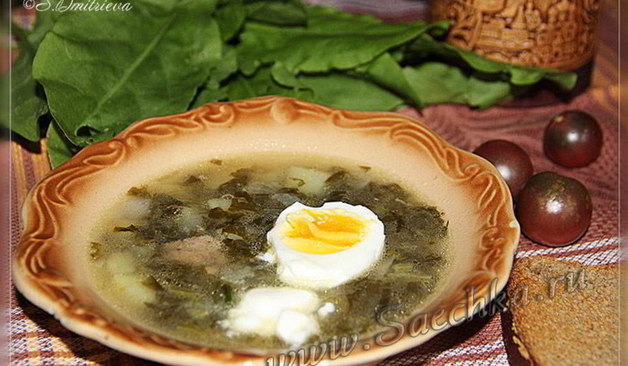 Рецепт щи из щавеля