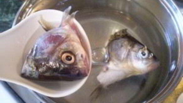 ШАГ 3. суп из рыбных голов