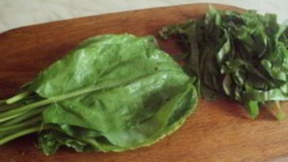 ШАГ 7. суп из щавеля с рисом