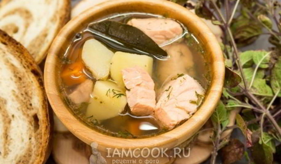 Рецепт уха из семги