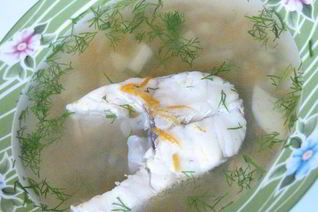 Уха из судака