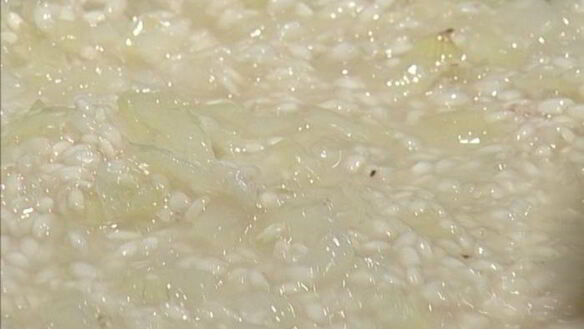 ШАГ 4. рисовые блинчики с сушеными грибами