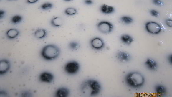 ШАГ 5. чизкейк с черникой без выпечки