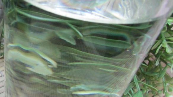 ШАГ 2. французский постный хлеб