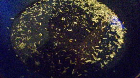 ШАГ 4. тосканский хлеб с виноградом