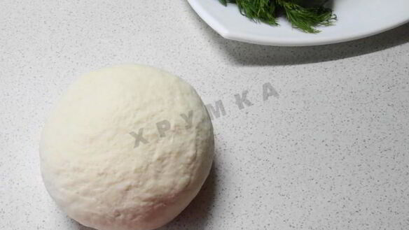 ШАГ 2. китайские лепешки с мясом