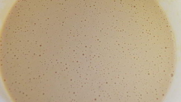 ШАГ 3. оладьи из соевой муки