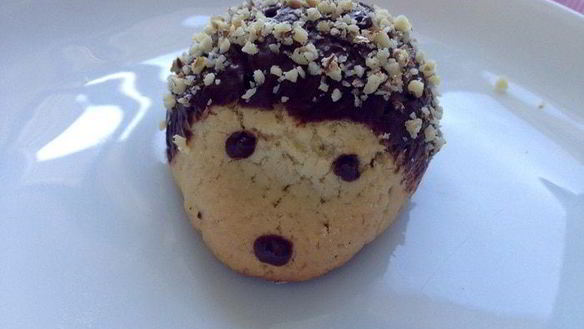 ШАГ 6. печенье ежики