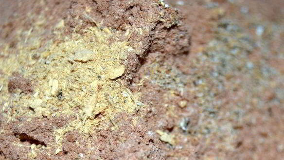 ШАГ 5. печенье мега-шоколадное блаженство