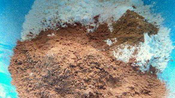 ШАГ 2. шоколадное печенье пикантное