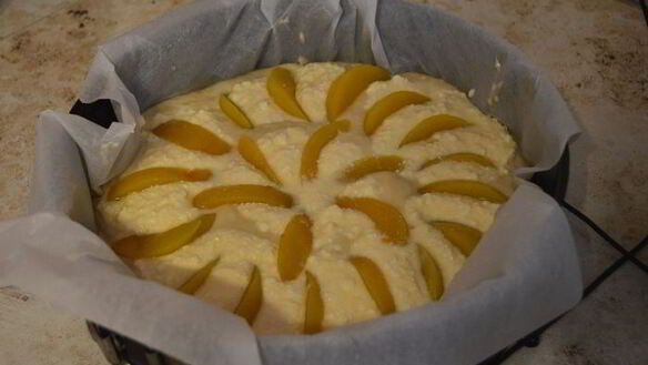 ШАГ 7. домашний пирог творожно-персиковое блаженство