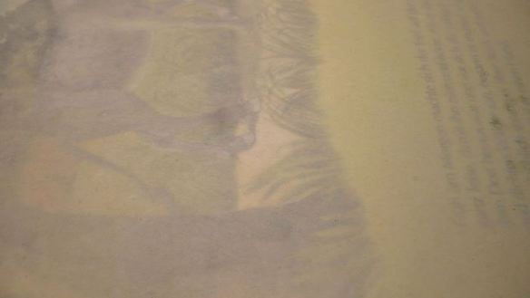 ШАГ 8. вкусный до неприличия пирог с семгой и капустой мечта пастуха