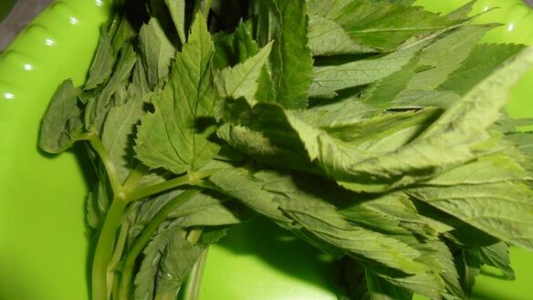 ШАГ 3. цельнозерновые пирожки со снытью, морской капустой и яйцом