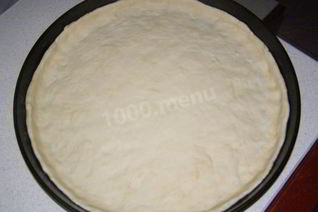 Дрожжевое тесто основа для пиццы в духовке