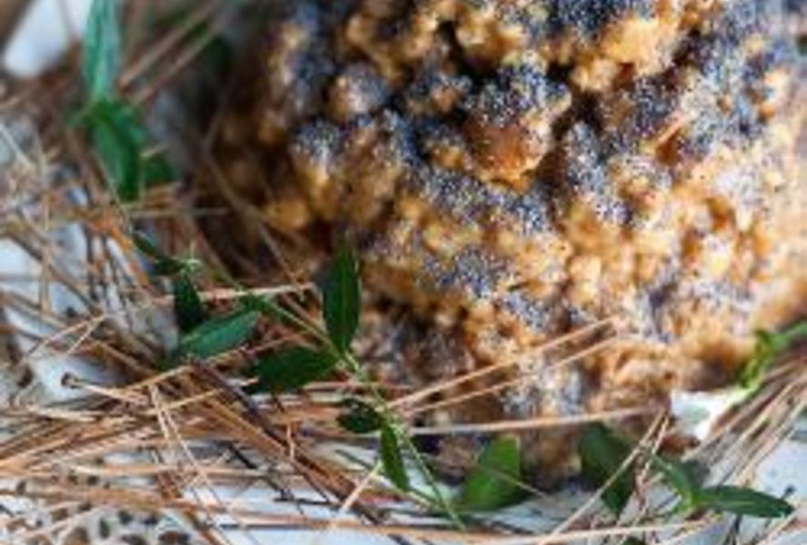 Торт Муравейник