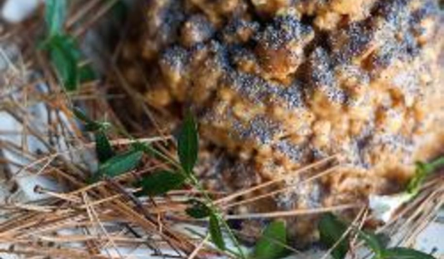 Рецепт торт муравейник