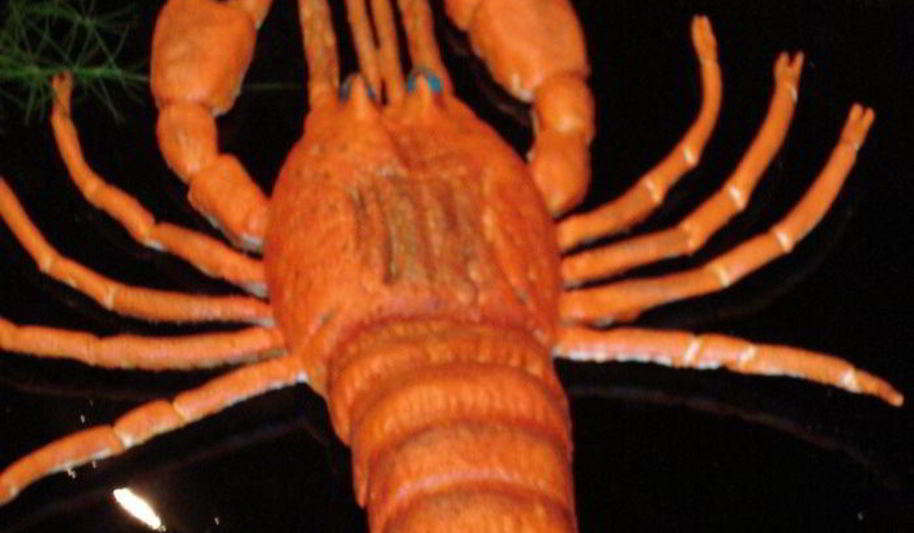 Рецепт выпечка из пресного теста раки