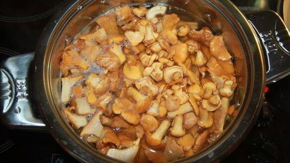 ШАГ 2. картофельная запеканка с лисичками