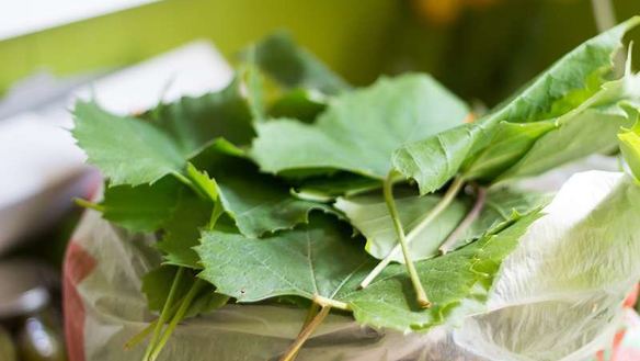 ШАГ 2. долма на зиму