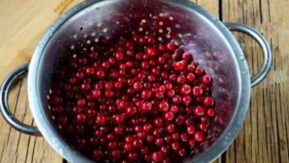 ШАГ 2. джем из красной смородины на зиму