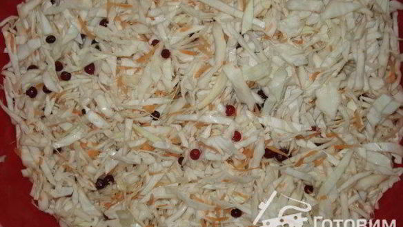 ШАГ 4. капуста квашеная в банках с клюквой