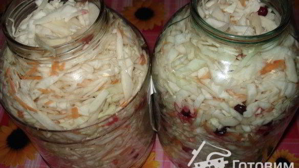 ШАГ 5. капуста квашеная в банках с клюквой