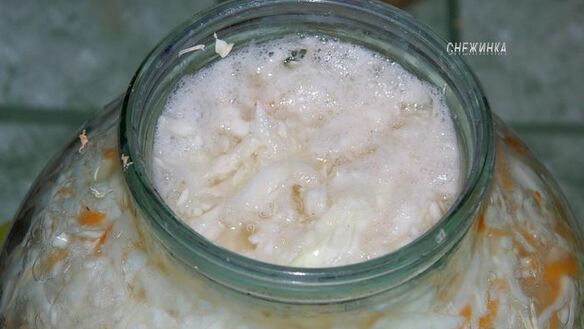 ШАГ 4. капуста, квашенная по-особому