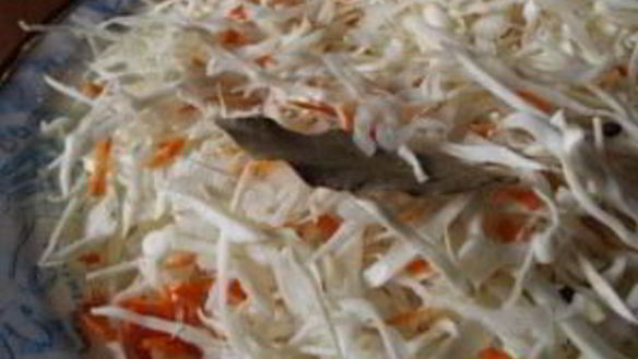 ШАГ 3. капуста на зиму в банках