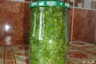 Кинза на зиму