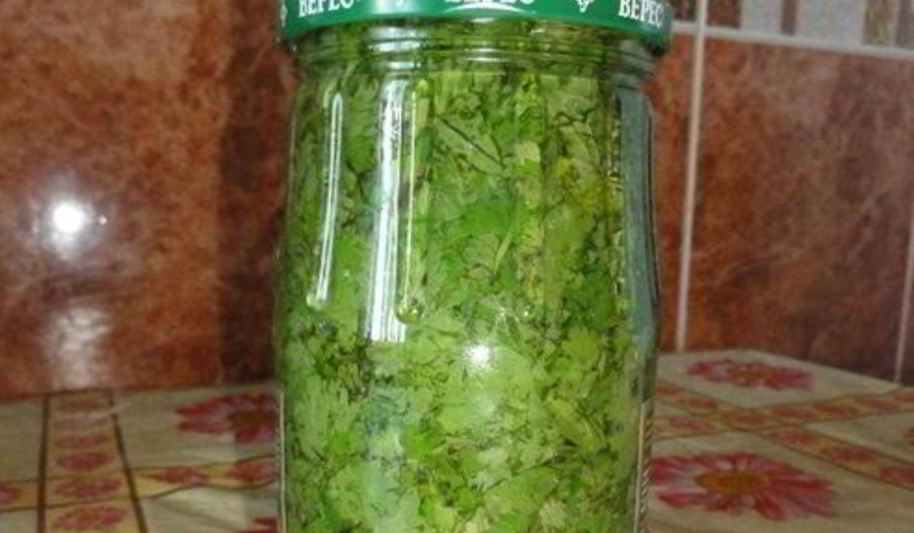 Рецепт кинза на зиму