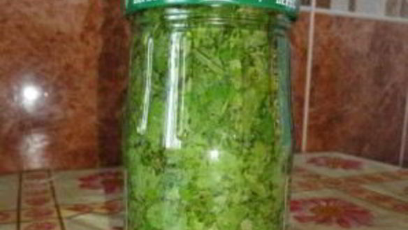 ШАГ 3. кинза на зиму