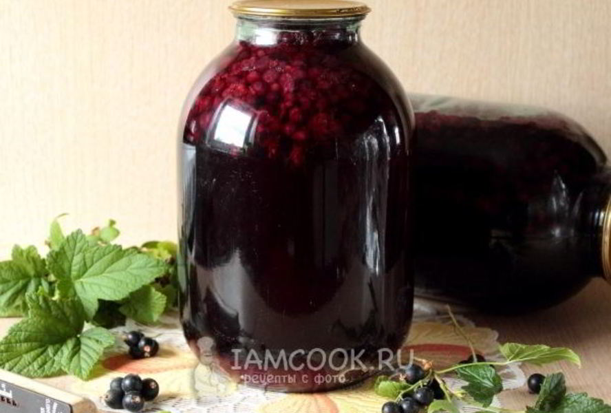 Компот из черной смородины на зиму