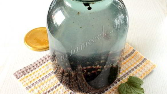 ШАГ 4. компот из черной смородины на зиму