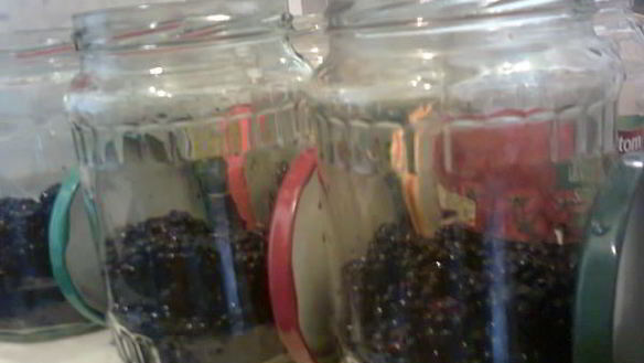 ШАГ 2. компот из ежевики