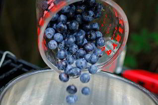 Компот из голубики