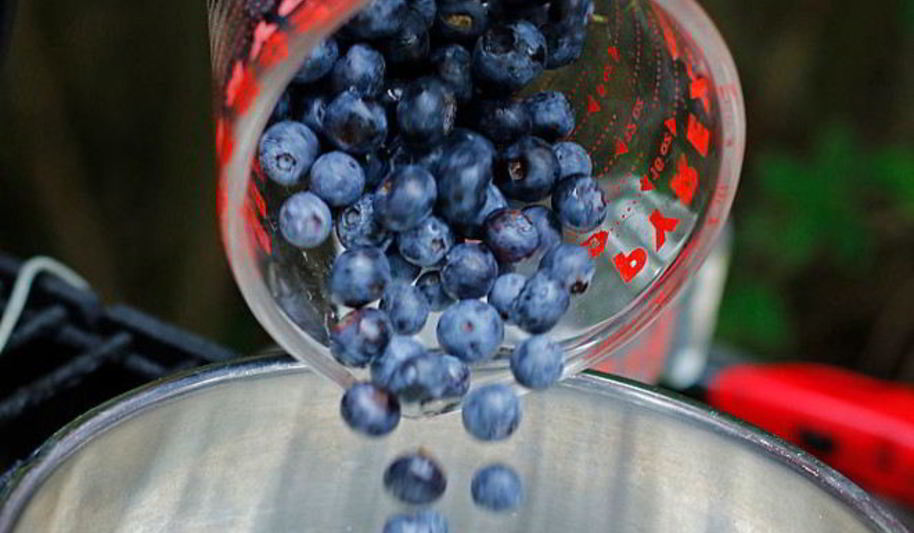 Рецепт компот из голубики